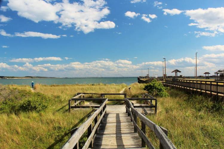 Boardwalk trail at Kiptopeke State Park