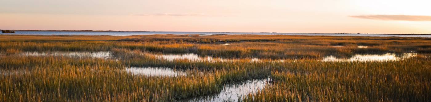 Tidal marshes in Virginia at sunset
