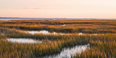 Cape Charles Area Guide